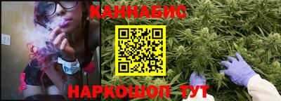 прущие грибы Гудермес