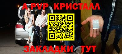 прущие грибы Гудермес