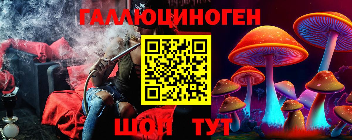 Галлюциногенные грибы прущие грибы  Вход с VPN  Соль-Илецк 