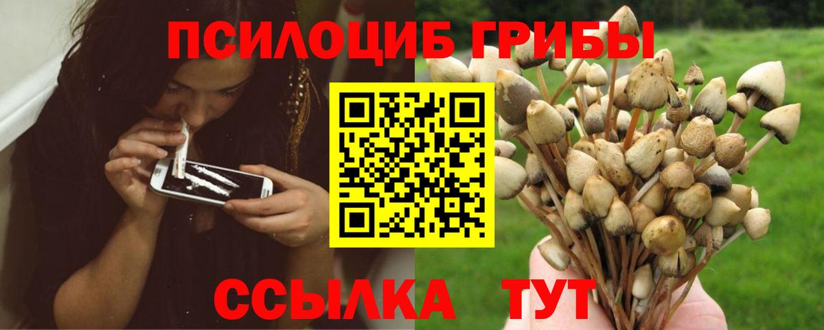 Галлюциногенные грибы ЛСД Соль-Илецк